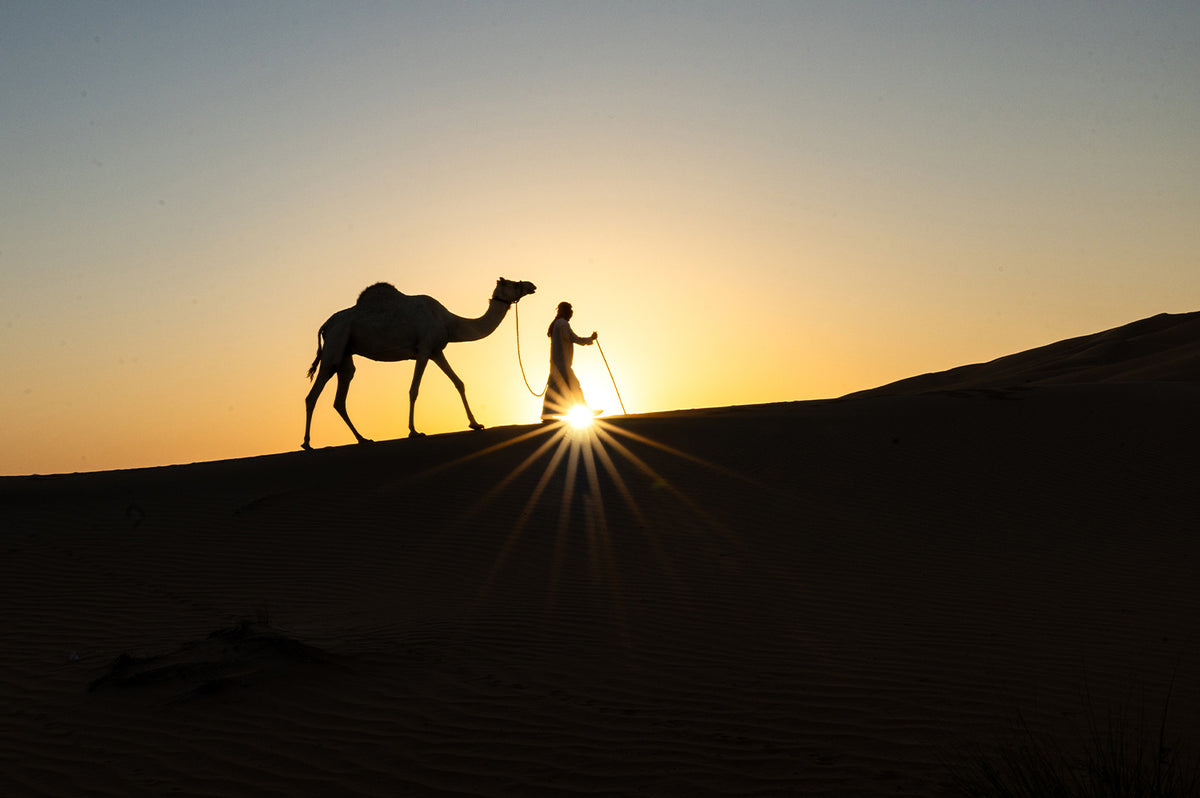 Liwa desert