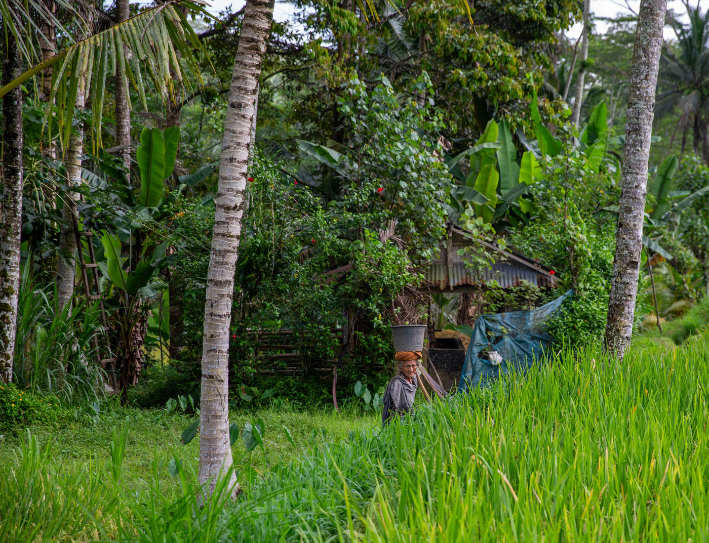 Bali people — photography by Anna Shehtova (27/28)