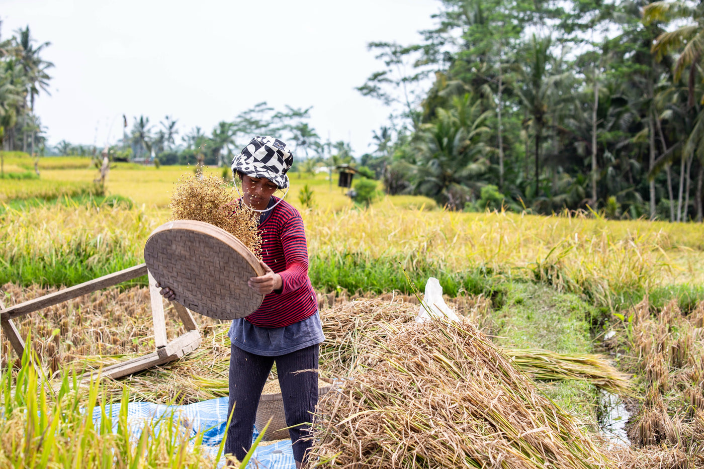 Bali people — photography by Anna Shehtova (28/28)