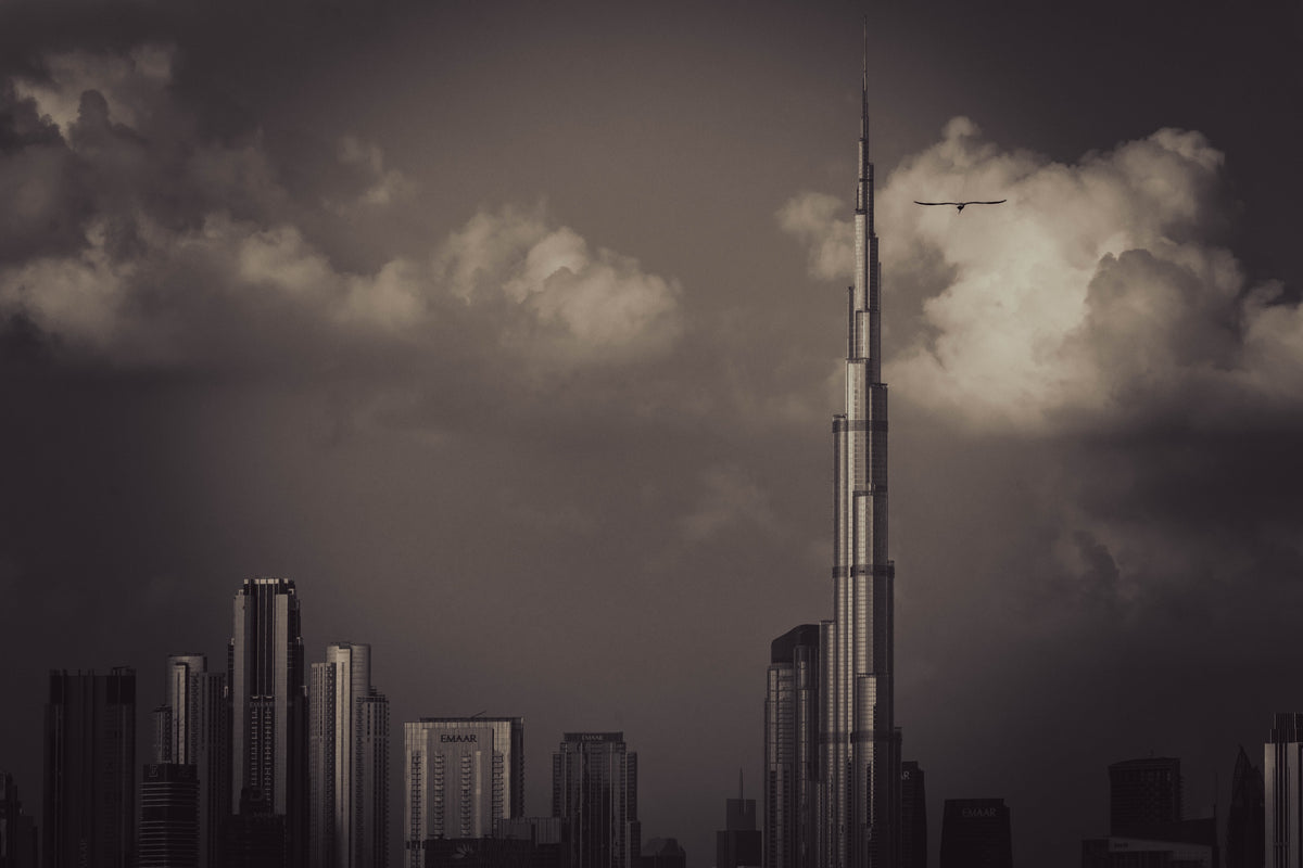Dubai skyscrapers — photography by Anna Shehtova (8/18)