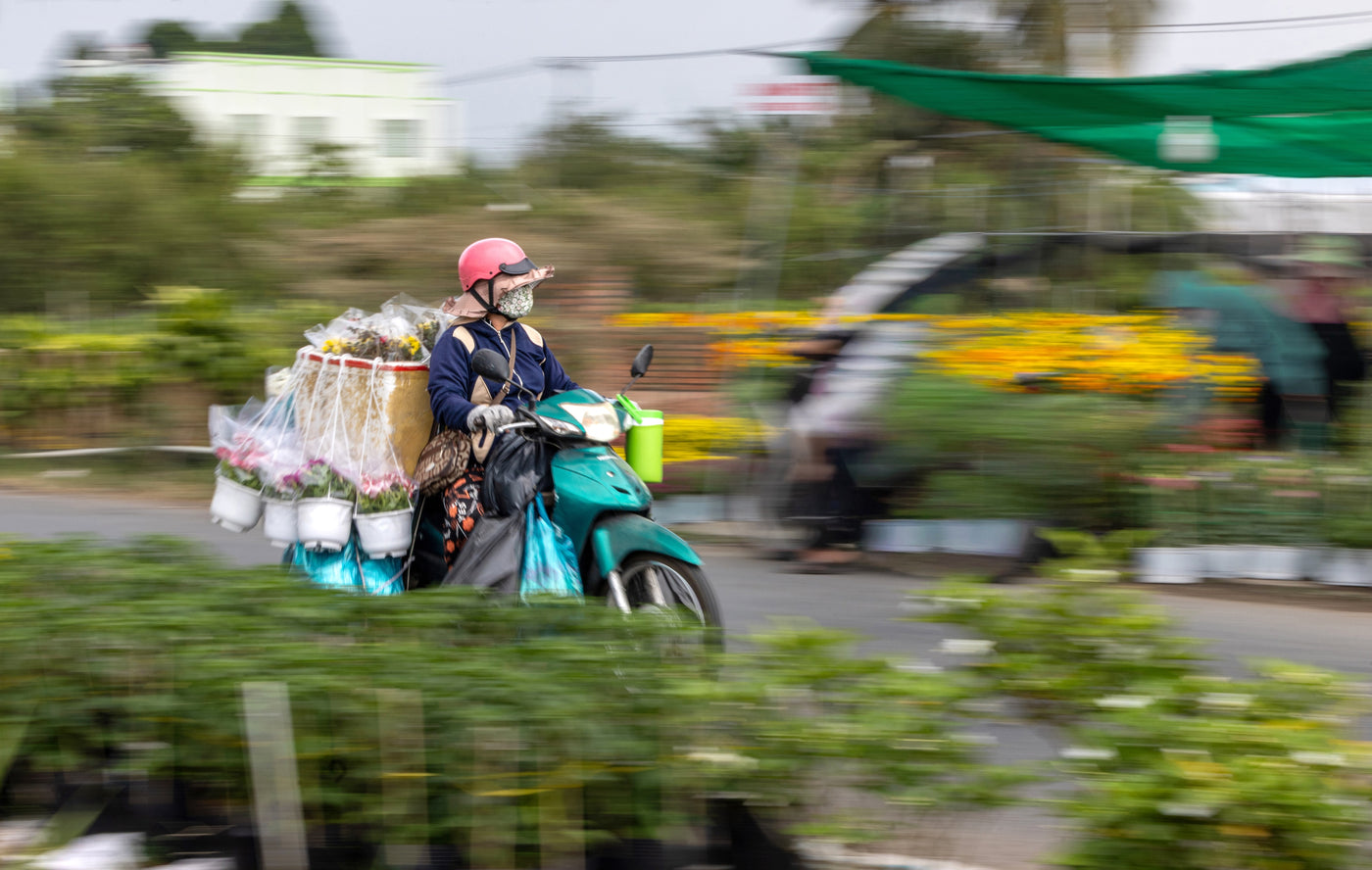 Everyone carries they own world — photography by Anna Shehtova (22/25)