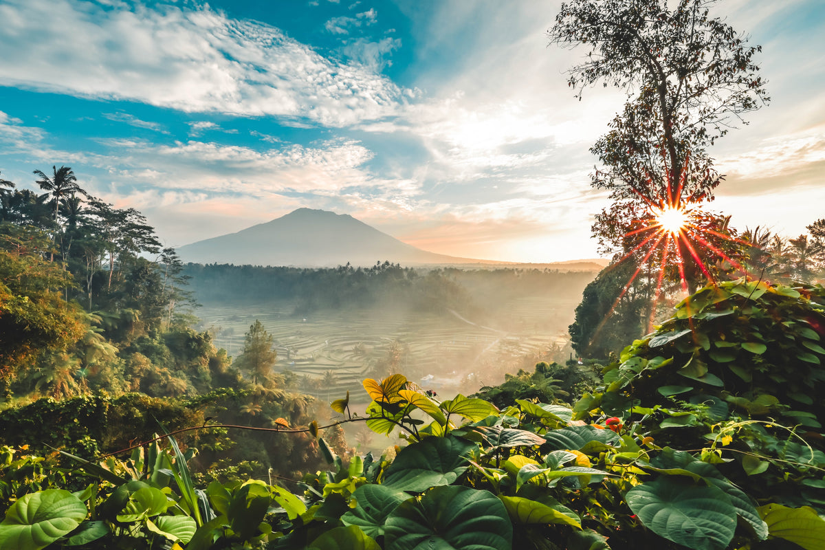 Indonesia — photography by Anna Shehtova (17/35)