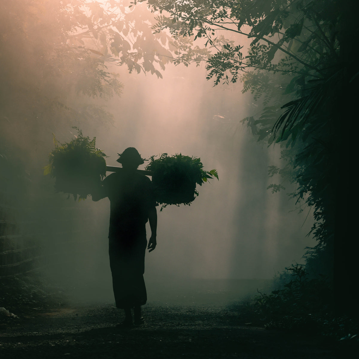 Indonesia — photography by Anna Shehtova (20/35)