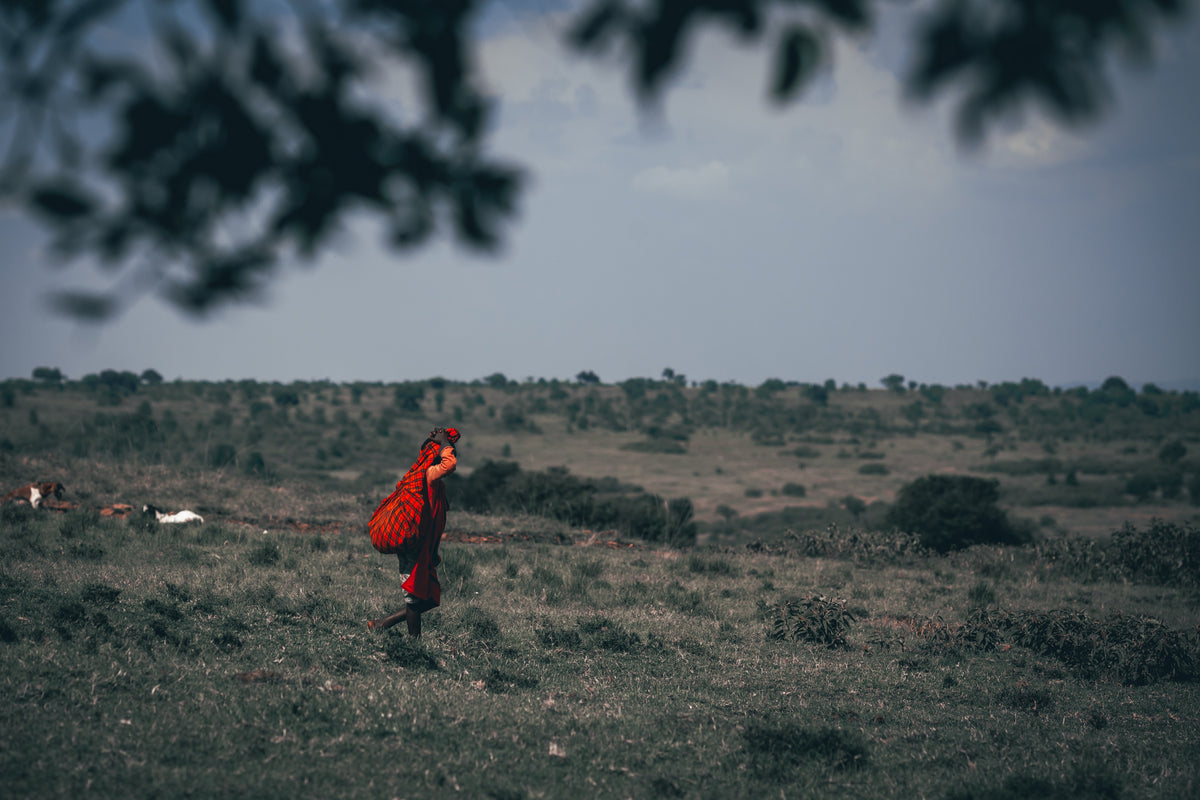 Kenya — photography by Anna Shehtova (6/18)