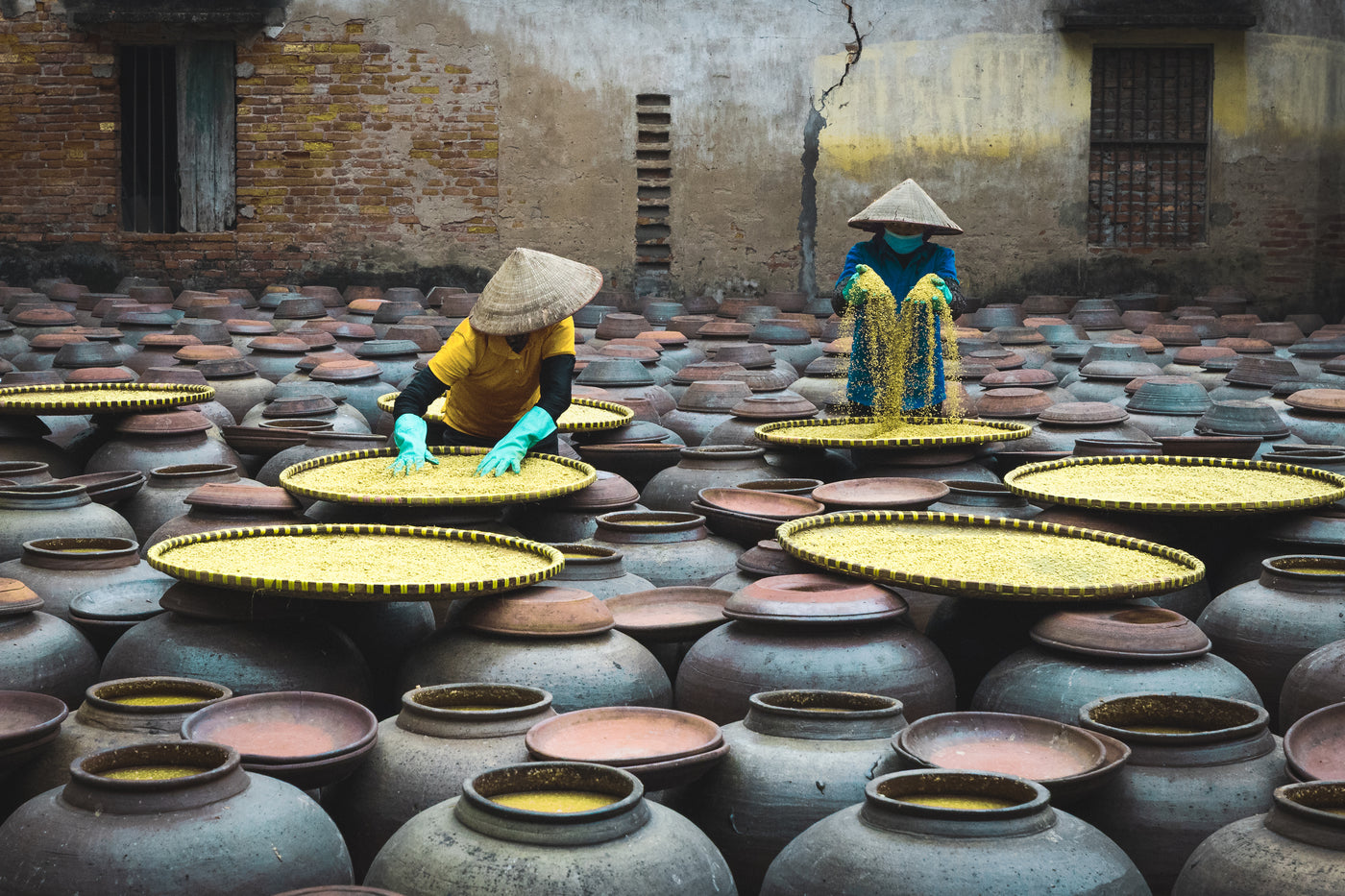 Vietnam — photography by Anna Shehtova (20/21)