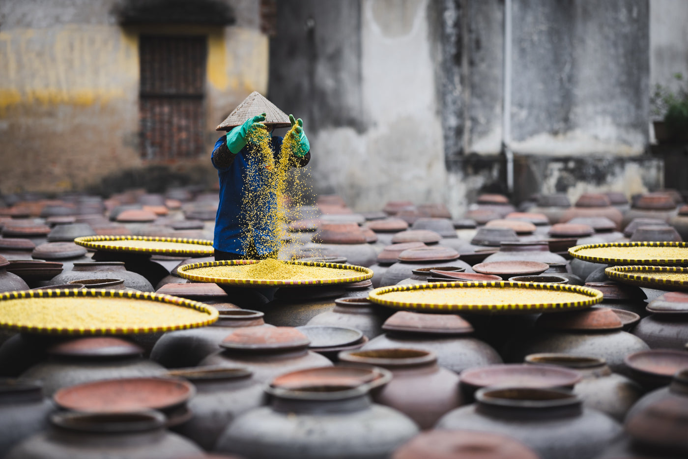 Vietnam — photography by Anna Shehtova (21/21)